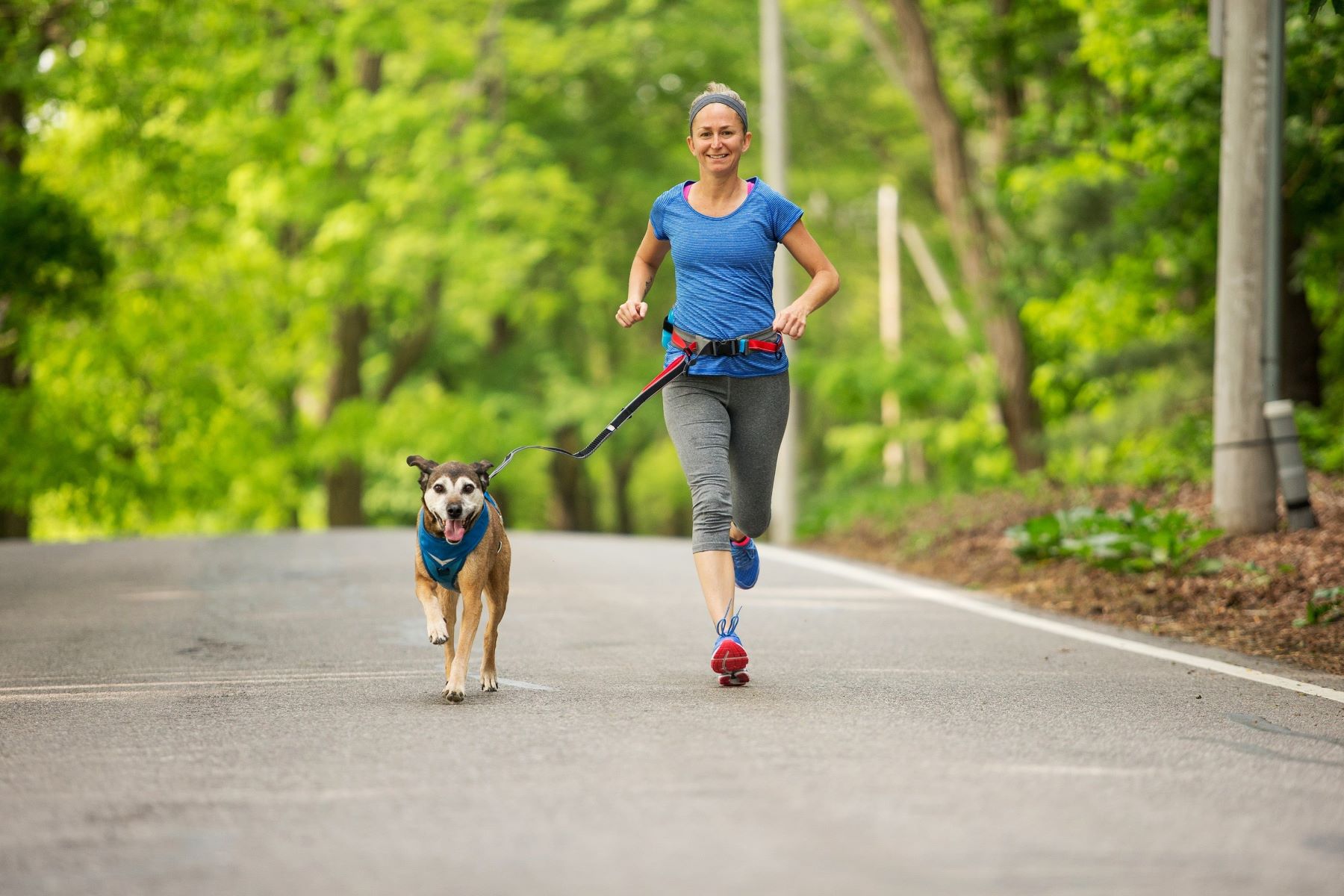 Proper Techniques For Running With A Dog Leash