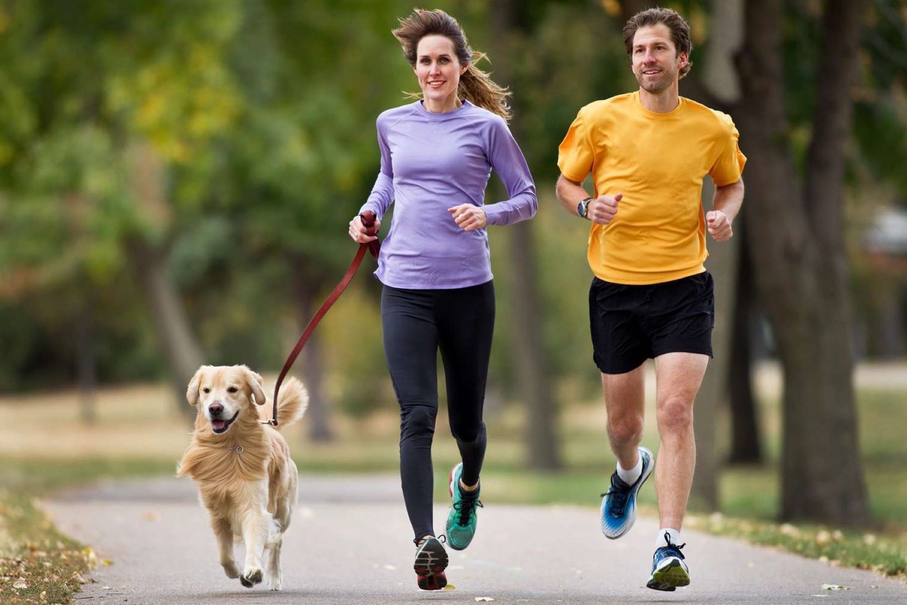 Running With Your Dog: A Guide To The Dos And Don'ts